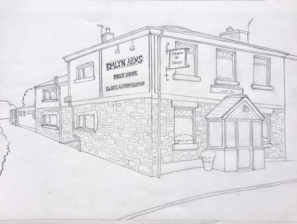 Emlyn Arms Llanarthney Exterior foto