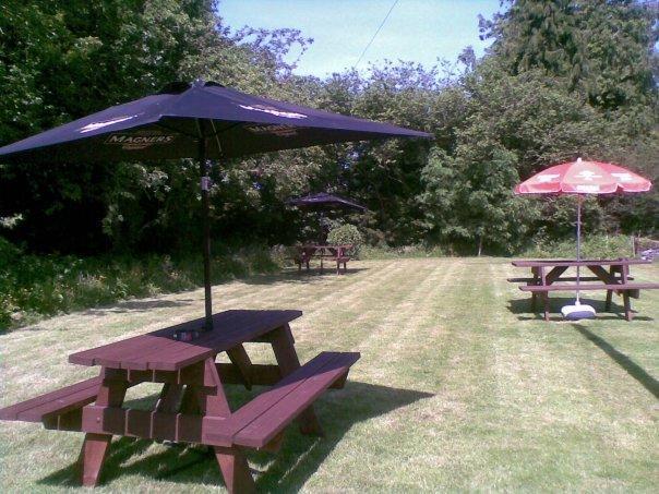 Emlyn Arms Llanarthney Exterior foto